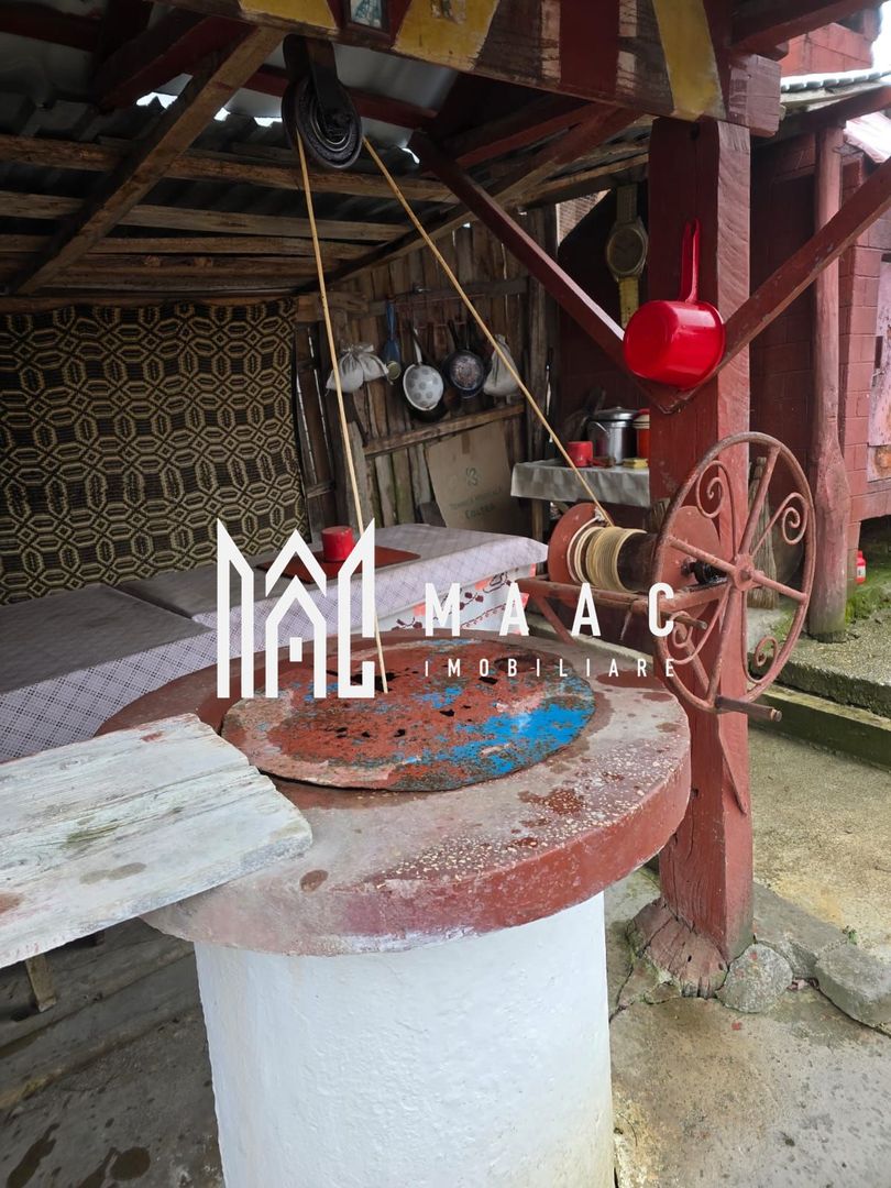 Proprietate cu două case| Comuna Fartatesti - Poză 15