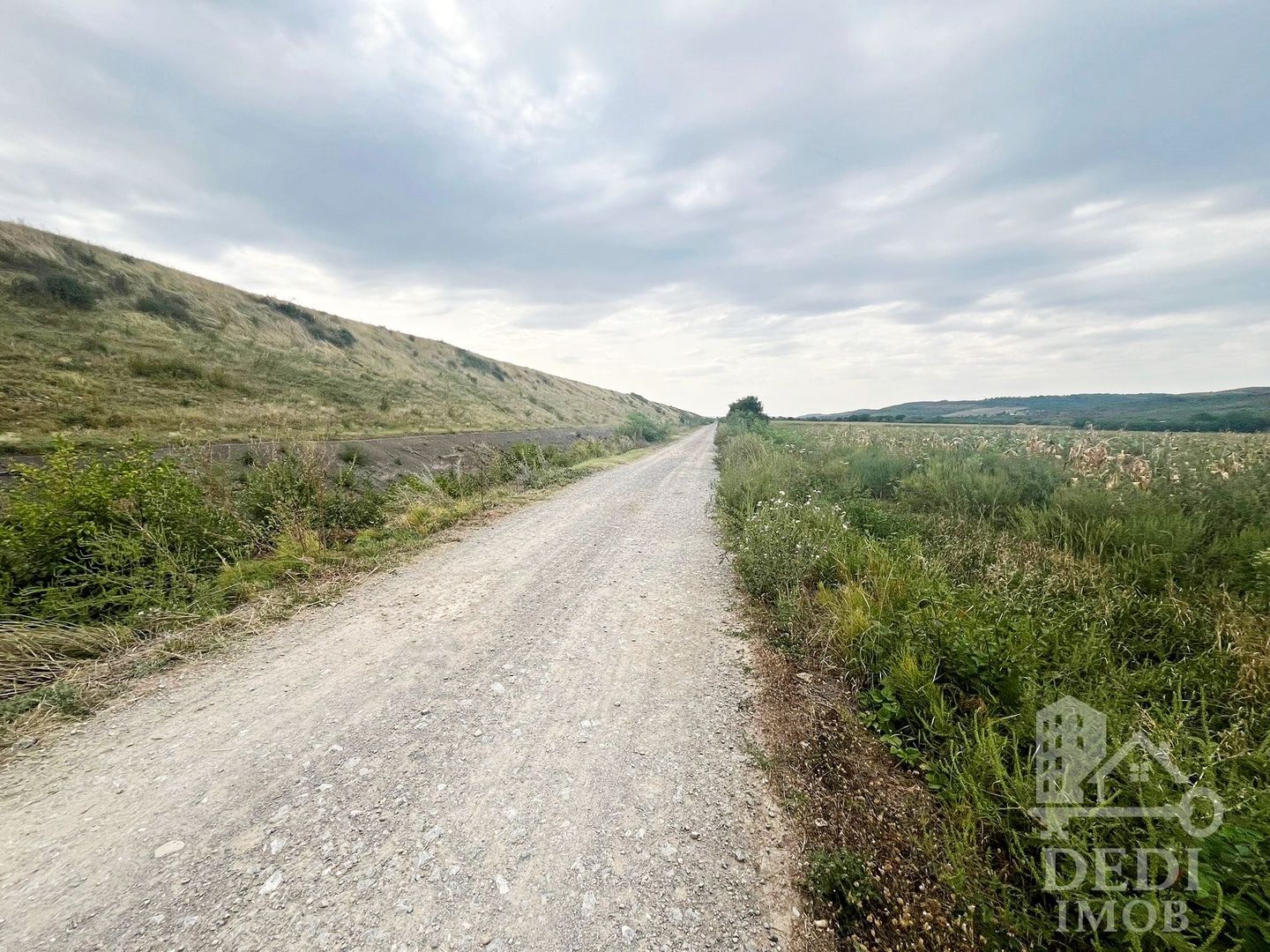 Teren extravilan Lugasu de jos, Bihor - Poză 7
