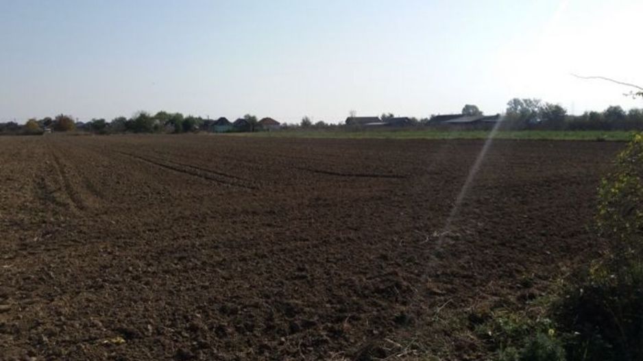 Investitie!Intravilan 55 ari capat Paulesti ( Intrare Ambud), 3.6 mf - Poză 2