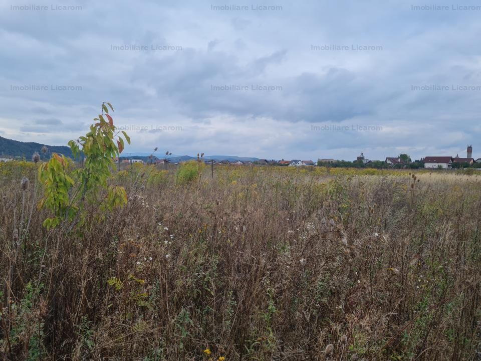 De vanzare teren  502 mp Harman Aleea 14 pret 32000 euro - Poză 3