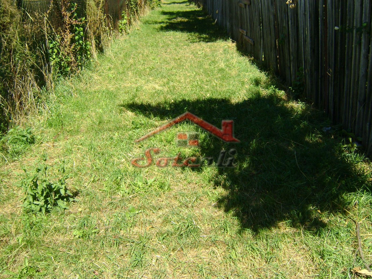 Teren  de vanzare Cornu 1919 mp - Poză 7