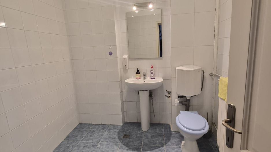 De vanzare Vila individuala, 9 camere, Mosilor - Eminescu, sector 2 - Poză 7