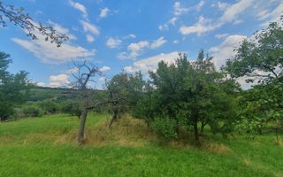 Teren de vanzare in Sibiel . - Poză 5