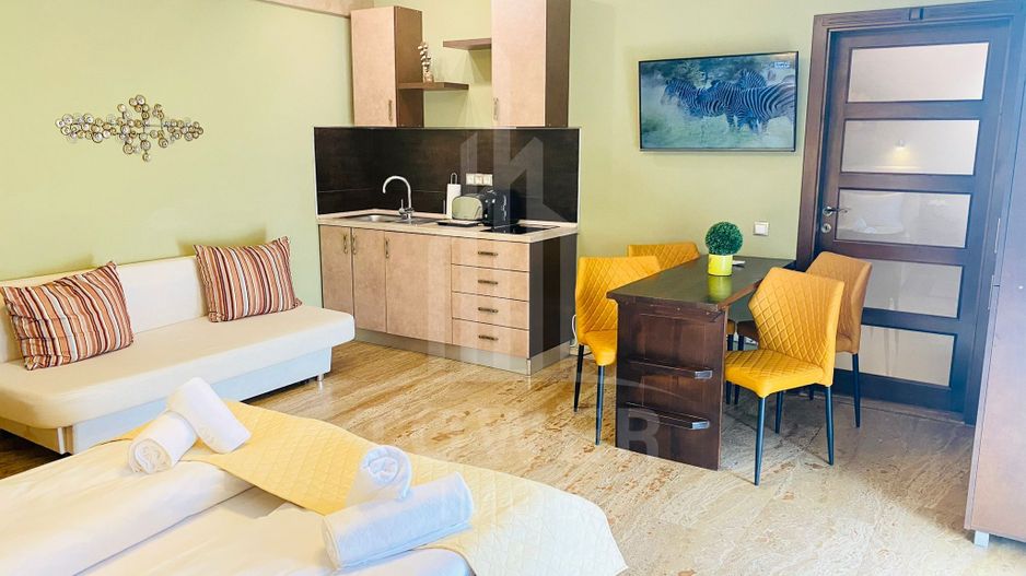 Studio de închiriat-Zona Centrala - Poză 2