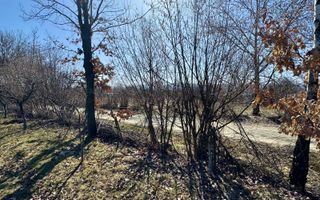 Teren intravilan | Berința | 5800 mp - Poză 7