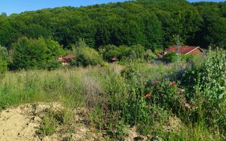 Teren 1970 mp-ideal case/case de vacanta/investitie-Zona Dealul Jelnei - Poză 3