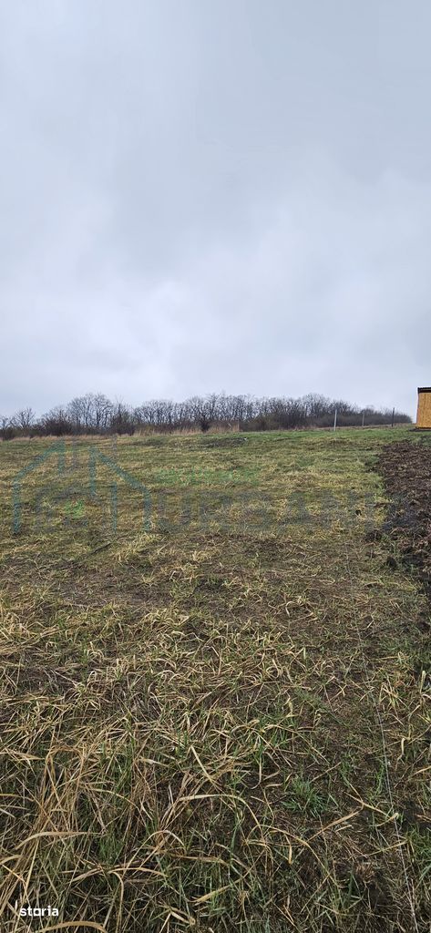 Teren intravilan 656 mp + acces, lângă pădure – Chicerea - Tomești - Poză 2