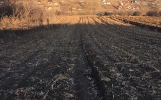 Teren 10.500 mp în Rediu Aldei, comuna Aroneanu – perspectivă intravilan - Poză 1