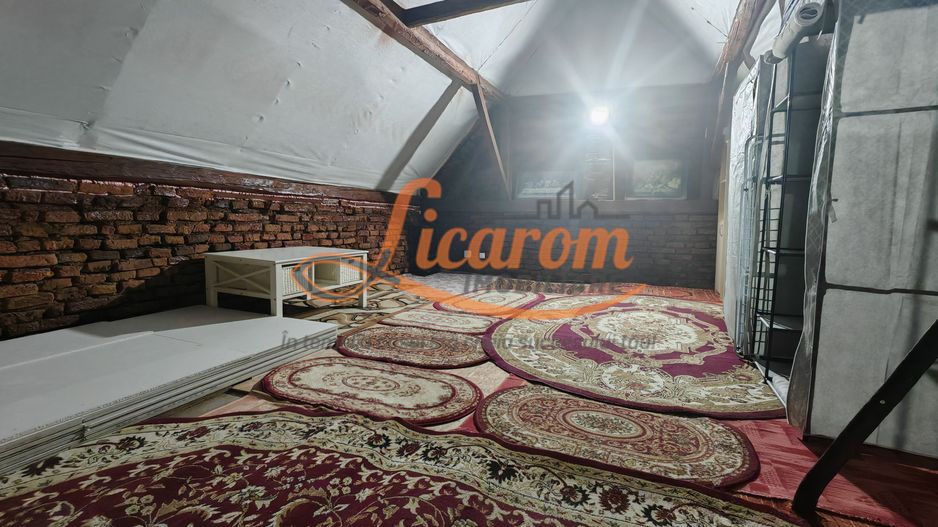 Casa traditionala singur in curte SANPETRU recent amenajata - Poză 12