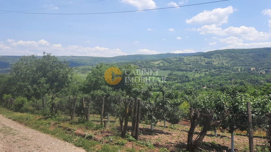 CASA PLAN PARTER + MANSARDA  1850  MP TEREN - Costuleni,Hilita🌿 - Poză 4