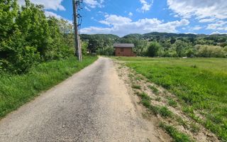 Teren intravilan Vladesti - Poză 8