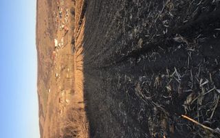 Teren 10.500 mp în Rediu Aldei, comuna Aroneanu – perspectivă intravilan, lângă pădure - Poză 1