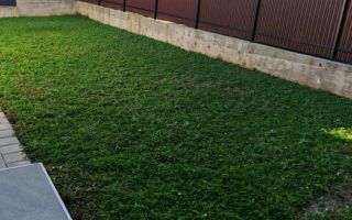 De închiriat – casă superbă cu 3 dormitoare, terasă și curte, Șelimbăr - Poză 9