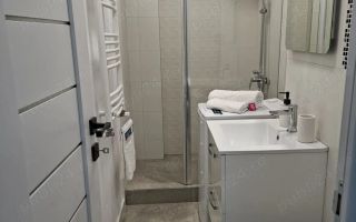 Inchiriere Apartament 2 amere  Theodor Pallady - Poză 5