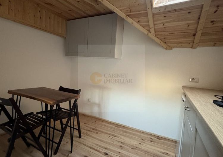 R1  | Studio  | Parcul Cismigiu - Poză 2