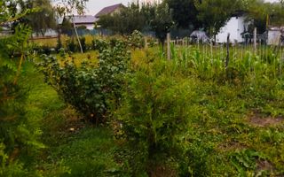 ✨ Oportunitate! Teren 1500 mp cu cabană și utilități – Șelimbăr/Cisnădie - Poză 6