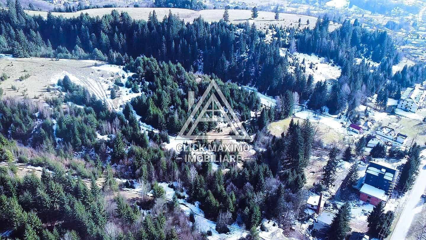 Teren 8 ha cu 15 izvoare minerale, lângă Câmpulung Argeș - Poză 1