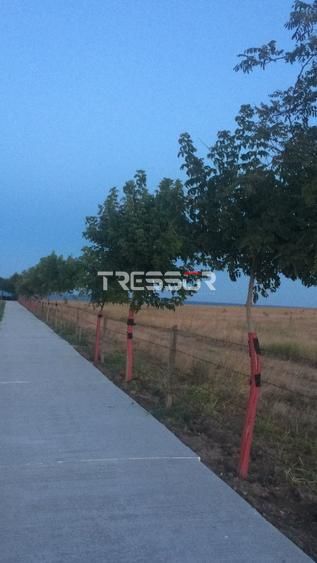 5.000 mp pe faleză în Costinești | Autorizație Resort inclusă - Poză 5