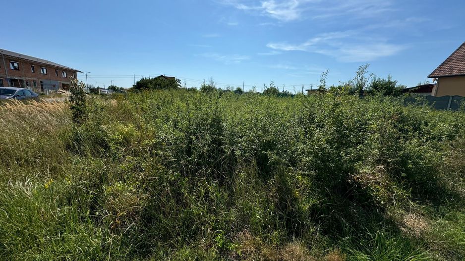 Teren intravilan in Timis langa Calea Urseni - Poză 6