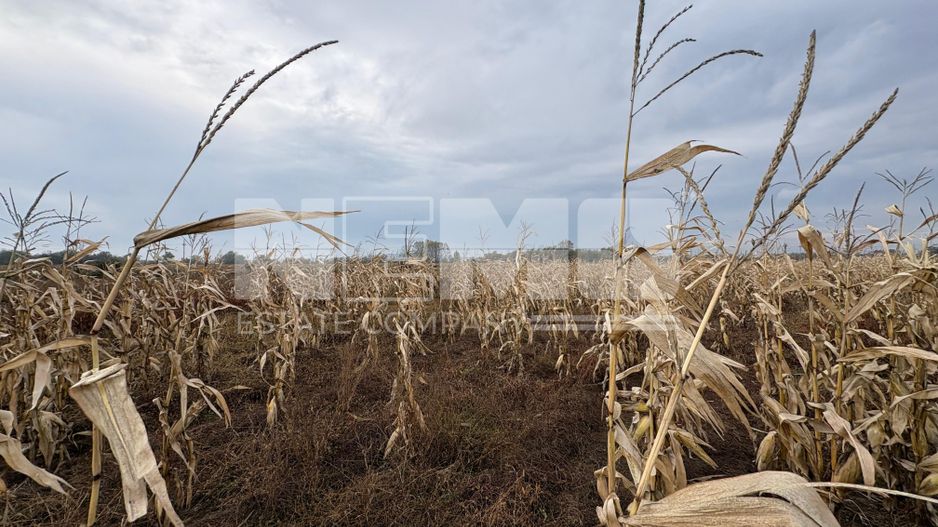 Teren de vânzare | 52 ari | intravilan | Zonă liniștită | Rădăuți - Poză 2