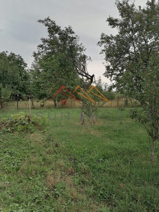 Casa rustica 3 camere, 4000 mp teren, cabana din lemn, pomi fructiferi - Poză 9