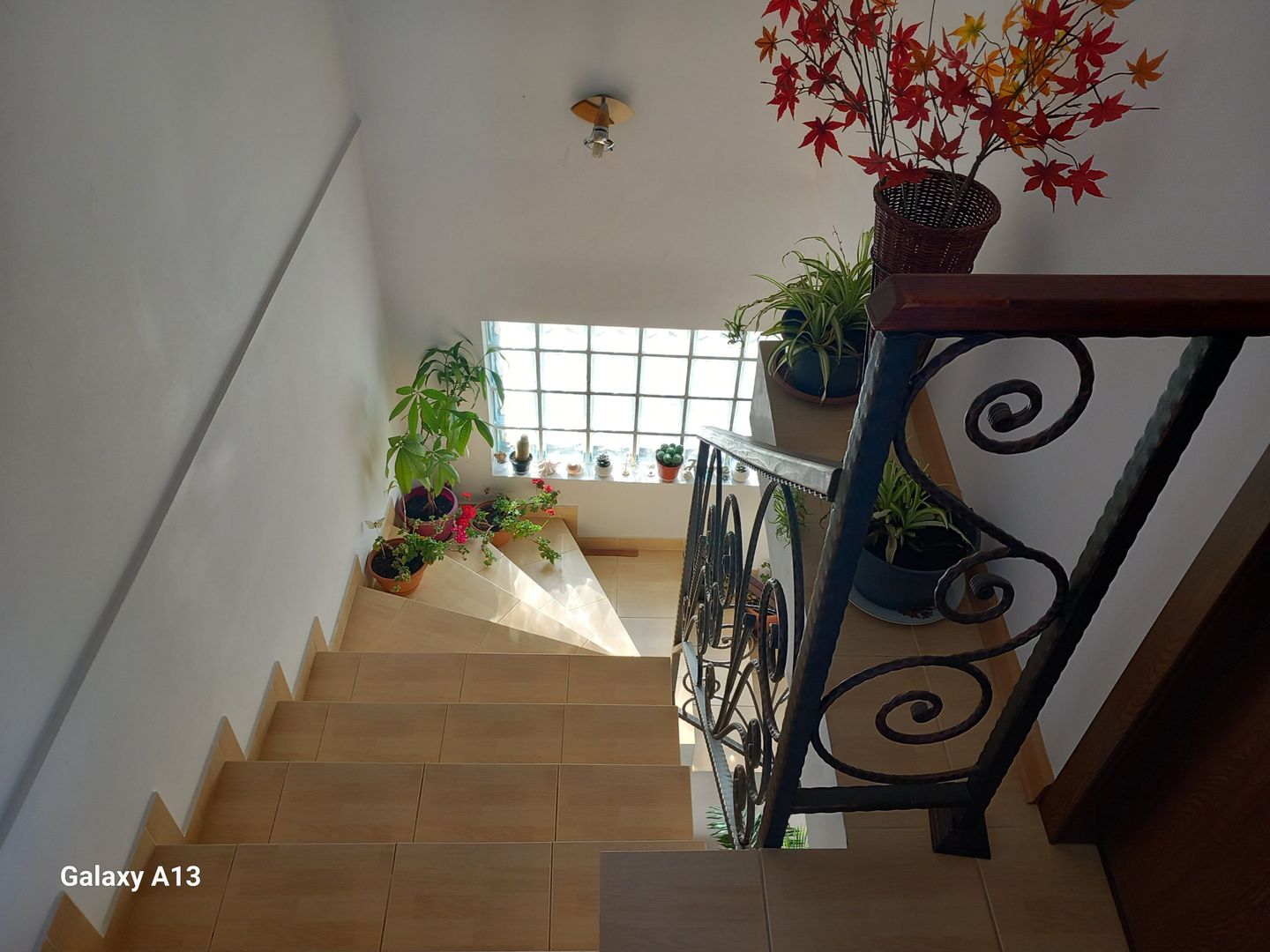 Ag BRASADAS vinde casa individuala 5 cam orasul PANTELIMON. - Poză 5