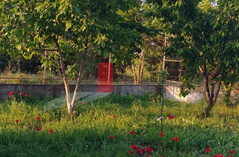 Casa individuala Valu lu Traian - curte 767 mp - Poză 7