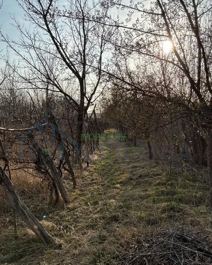 Casa Batraneasca 100 MP + teren intravilan 400 MP, 4500 MP extravilan - Poză 6