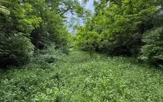 Teren plat-intravilan -3800 mp, cu pădurice și ieșire la râu! - Poză 29