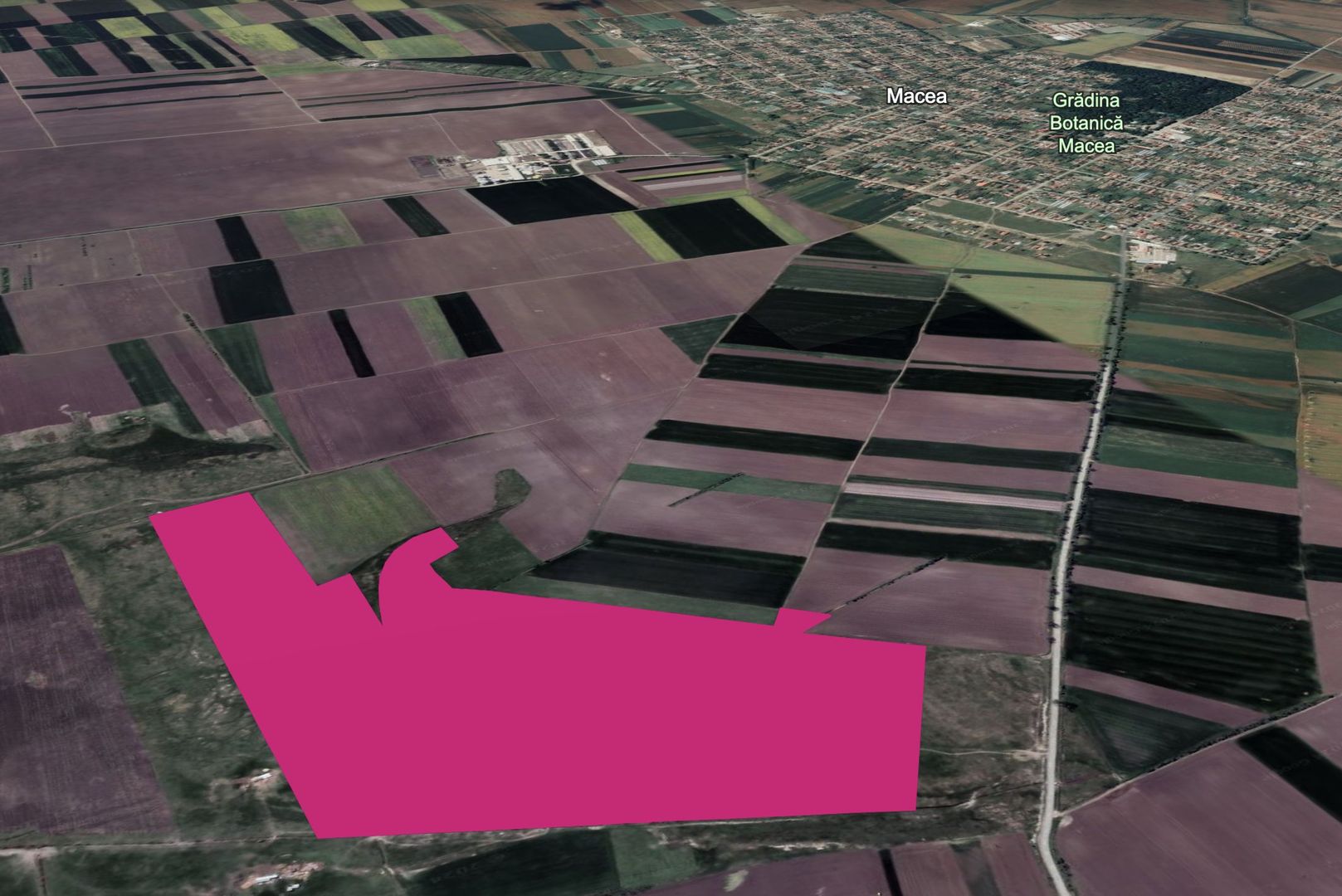 Teren 42 ha pentru parc fotovoltaic – Macea, Arad - Poză 1
