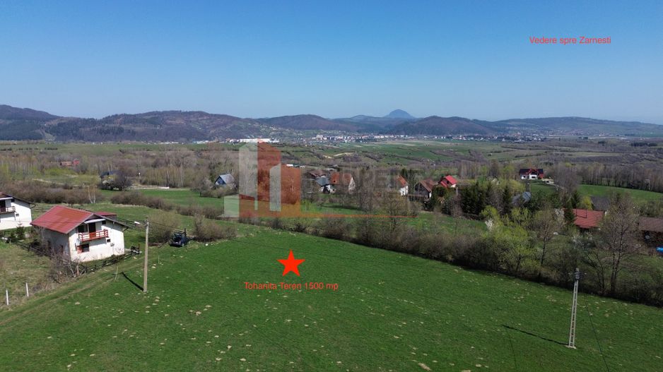 Teren Bran Tohanita | Intravilan 1.379 mp | Vedere Panoramică| - Poză 3
