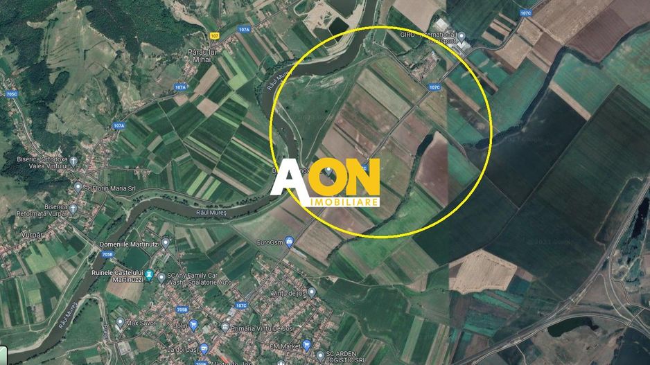 Teren intravilan industrial, 9900 mp, la asfalt, Vintu de Jos - Poză 1