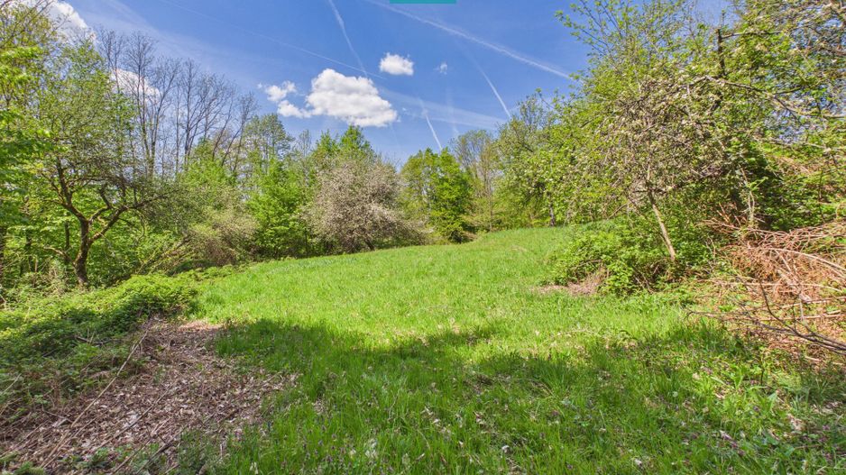 Proprietate rară cu 24.270 mp, în Măgulicea, Arad! - Poză 45