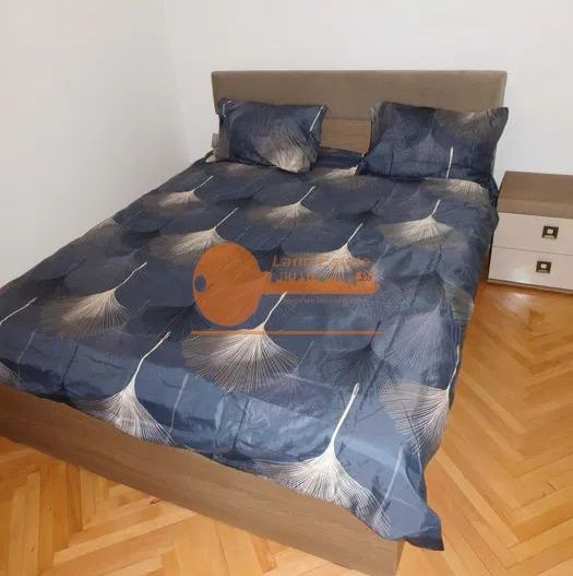 Apartament 2 camere de închiriat – Zona Pajura - Poză 2