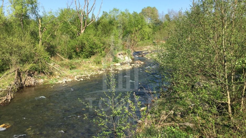 Teren de vanzare în reprezentare exclusivă, situat pe Valea Avrigului! - Poză 9