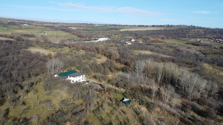Teren 20.146 mp Dâmbu Rotund (Lomb).Extravilan.Potențial rezidențial - Poză 12