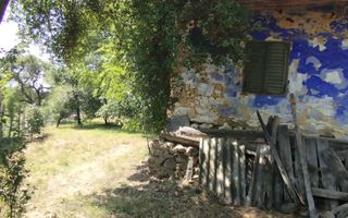 Teren intravilan 2828 mp+autorizatie casa-anexe-livada-Dorolea - Poză 7