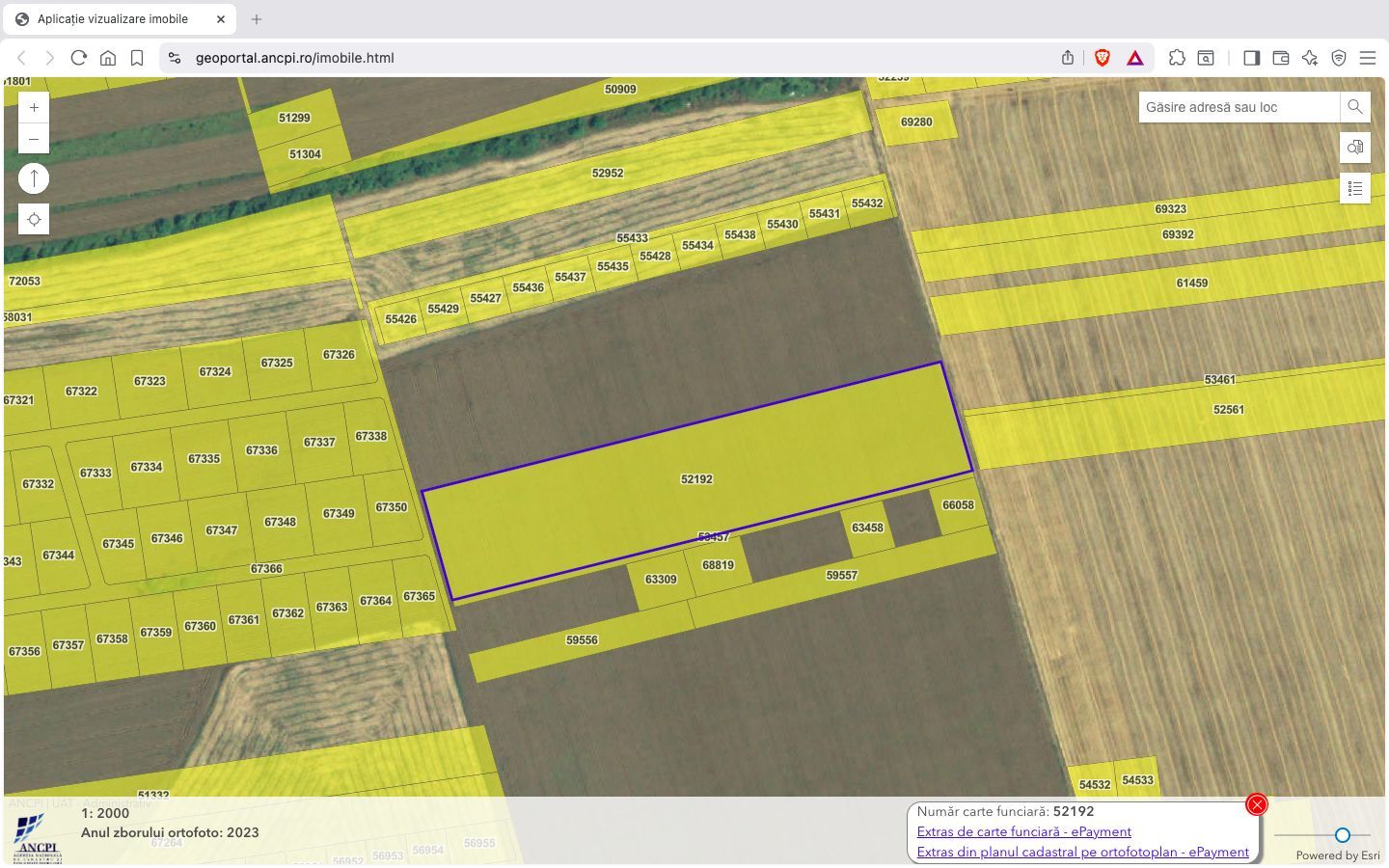 Teren intravilan 18.200 mp Saftica Balotesti - Poză 2
