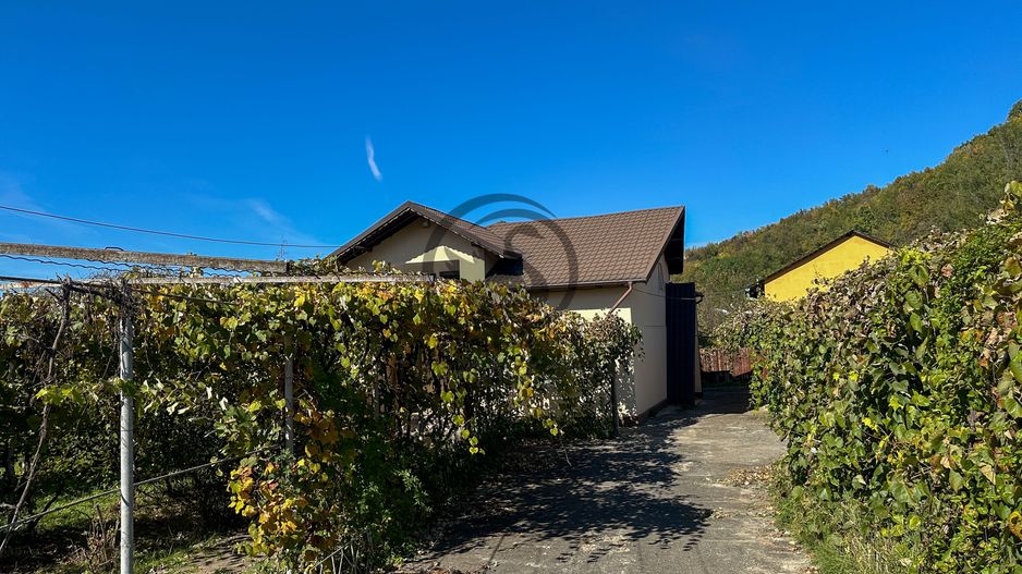 Casa cu 8 camere de vanzare | Gura Vitioarei - Prahova | Comision 0% - Poză 1