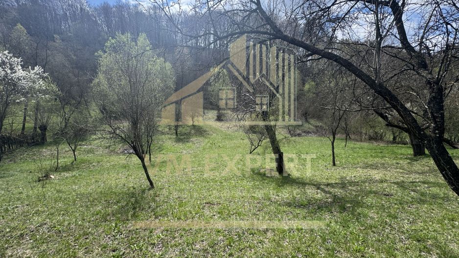 TEREN INTRAVILAN 4365 MP POENARII DE MUȘCEL  JUDEȚUL ARGES - Poză 23