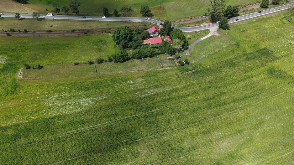 TEREN 5.001 MP – POZIȚIE EXCEPȚIONALĂ LA IEȘIREA DIN ZĂRNEȘTI - Poză 9