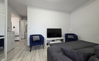 Apartament 1 camera Giroc - Poză 3