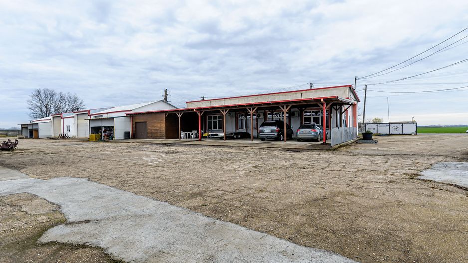 Hale depozitare/producție 2.000 mp si 10.000 mp teren în Pecica - Poză 13