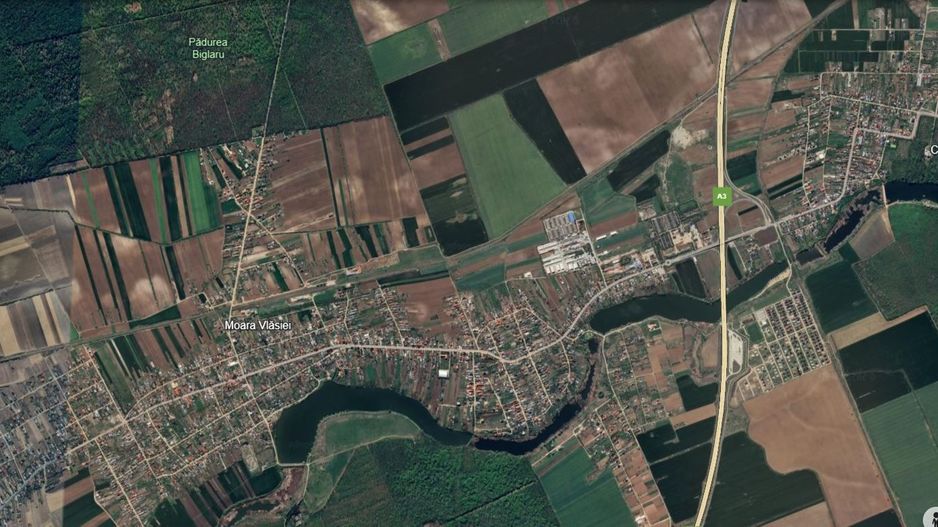 MOARA VLASIEI, 5.000 mp. teren in Tarla 146, Parcela 609 - Poză 3