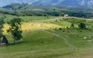 Teren extravilan Transapuseana - Poză 2