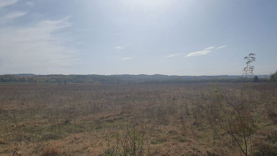 Vanzare teren arabil 22 Ha, plan, Arges, Moraresti - Poză 2