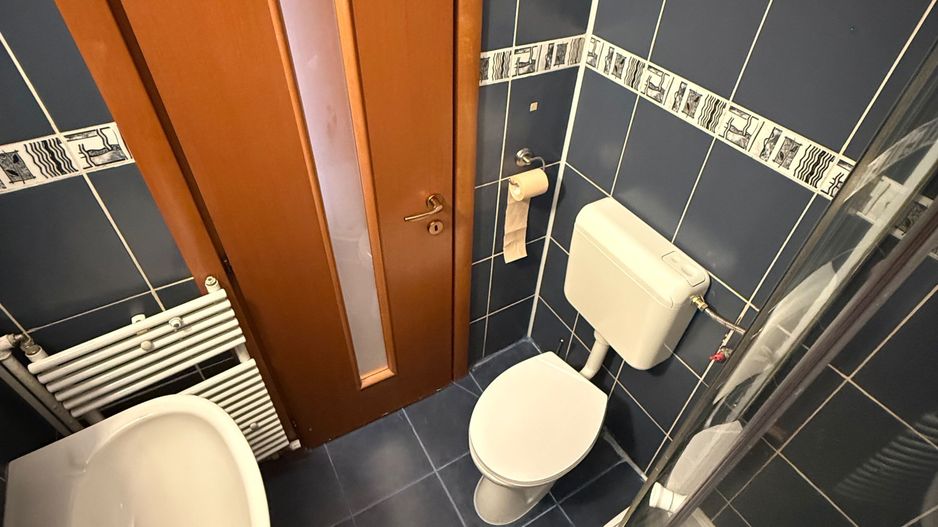 2 camere|| FLOREASCA COMPOZITORI - Poză 3