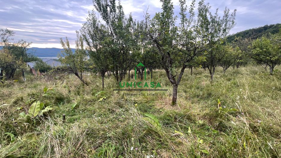 Teren intravilan - Cetatuie - Poză 1