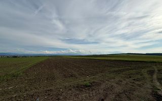 Teren de casa | 500MP | PUZ | Parcela 5 | Sura Mica - Poză 2