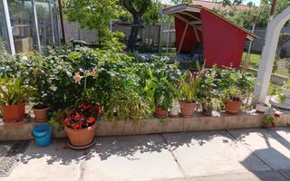 Casa de vanzare in Vladimirescu in zona primariei. - Poză 35